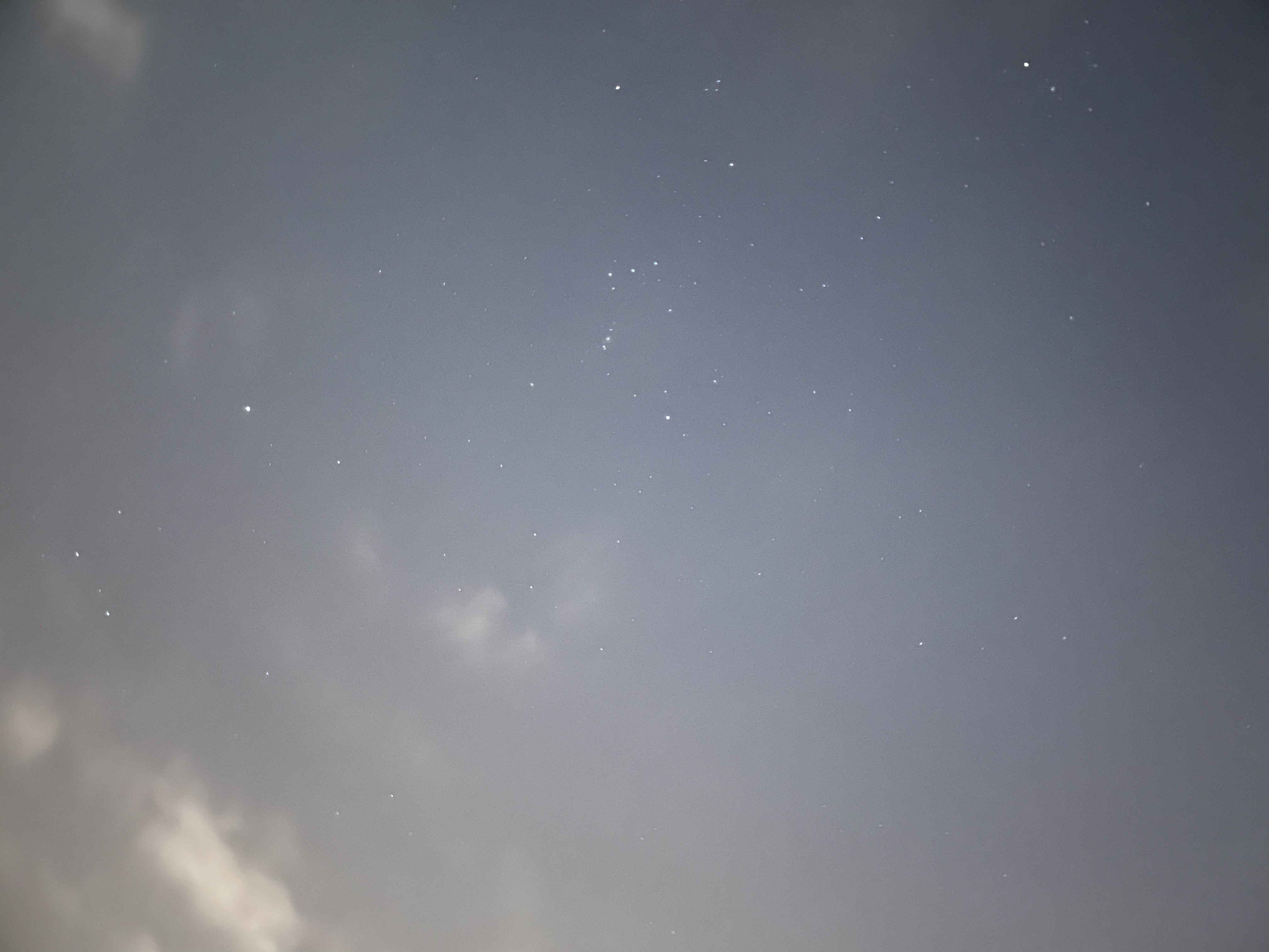 The Orion Constellation